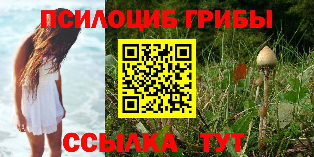 Лабинск  Псилоцибиновые грибы MAGIC MUSHROOMS  Галлюциногенные грибы Psilocybine cubensis  Вход с VPN 